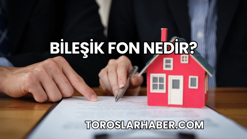 Bileşik Fon Nedir?