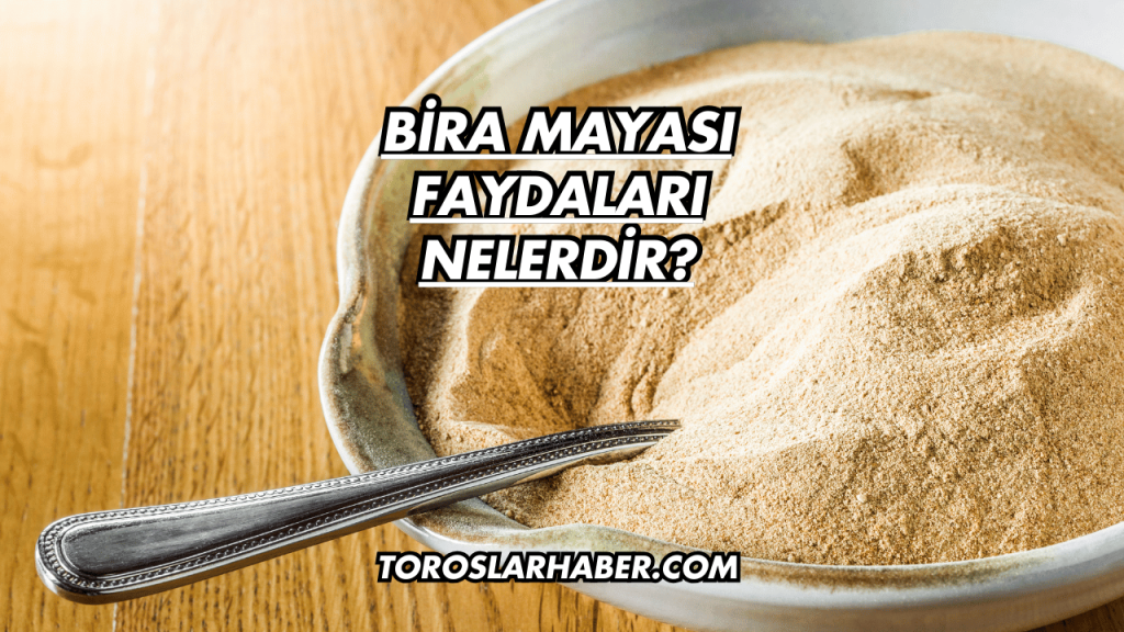 Bira Mayası Faydaları Nelerdir?
