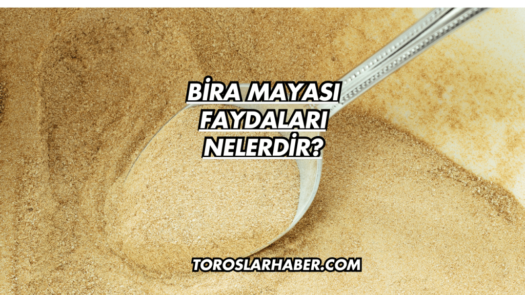 Bira Mayası Faydaları Nelerdir?