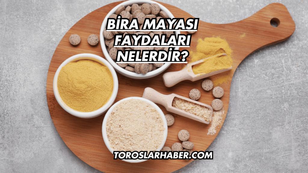 Bira Mayası Faydaları Nelerdir?