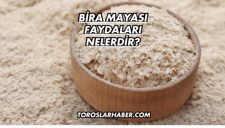 Bira Mayası Faydaları Nelerdir?