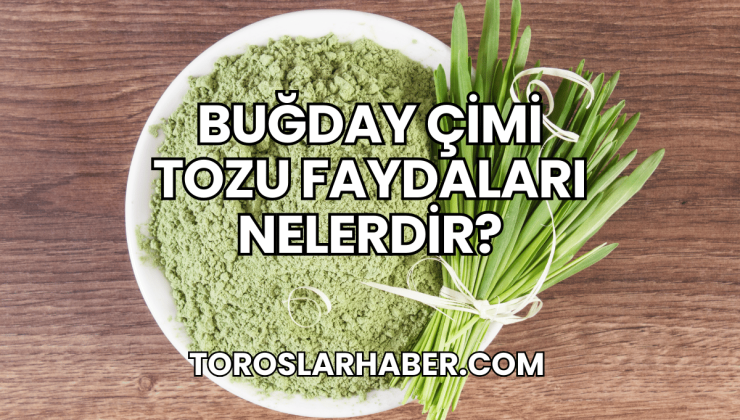 Buğday Çimi Tozu Faydaları Nelerdir?