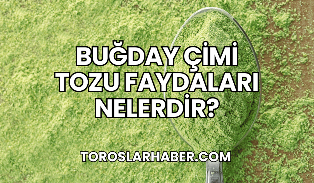 Buğday Çimi Tozu Faydaları Nelerdir?