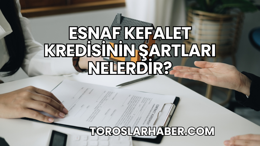 Esnaf Kefalet Kredisinin Şartları Nelerdir?