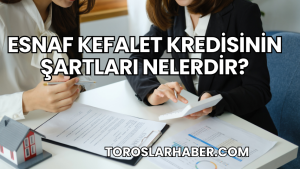 Esnaf Kefalet Kredisinin Şartları Nelerdir?