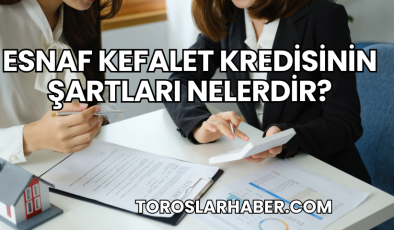 Esnaf Kefalet Kredisinin Şartları Nelerdir?