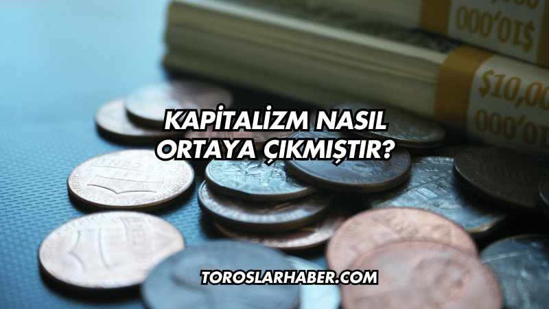 Kapitalizm Nasıl Ortaya Çıkmıştır?