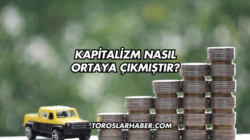 Kapitalizm Nasıl Ortaya Çıkmıştır?