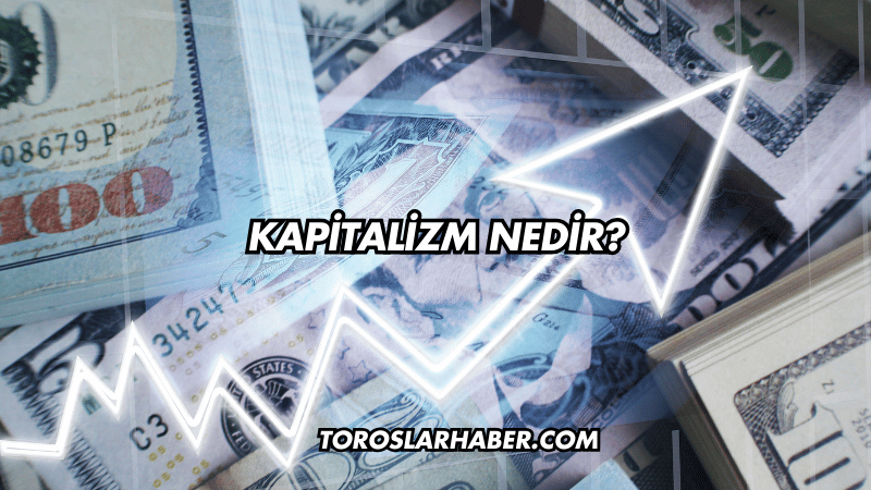 Kapitalizm Nedir?