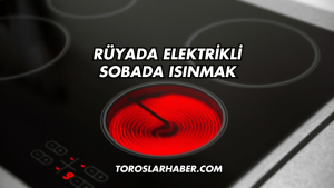 Rüyada Elektrikli Sobada Isınmak