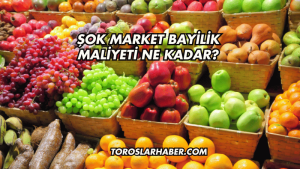 Şok Market Bayilik Maliyeti Ne Kadar?