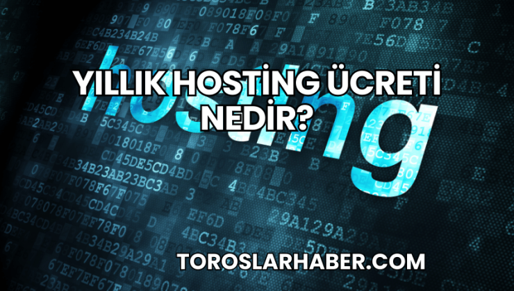 Yıllık Hosting Ücreti Nedir?