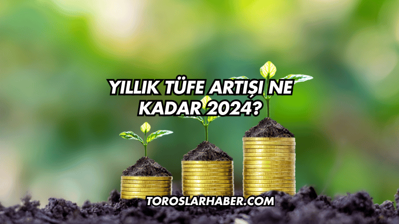 Yıllık TÜFE Artışı Ne Kadar 2024?