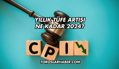 Yıllık TÜFE Artışı Ne Kadar 2024?