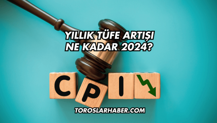 Yıllık TÜFE Artışı Ne Kadar 2024?
