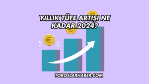 Yıllık TÜFE Artışı Ne Kadar 2024?