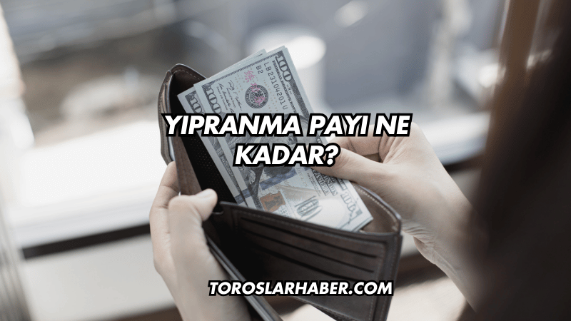 Yıpranma Payı Ne Kadar?