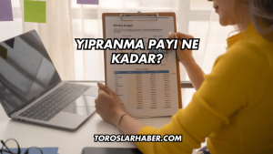Yıpranma Payı Ne Kadar?
