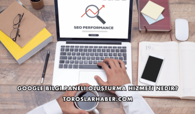 Google Bilgi Paneli Oluşturma Hizmeti Nedir?