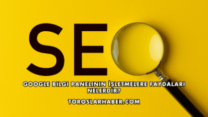 Google Bilgi Panelinin İşletmelere Faydaları Nelerdir?