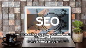 SEO Uzmanları Tanıtım Yazısını Nasıl Kullanıyor?